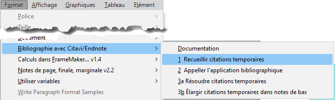 bibliography with Citavi or Endnote