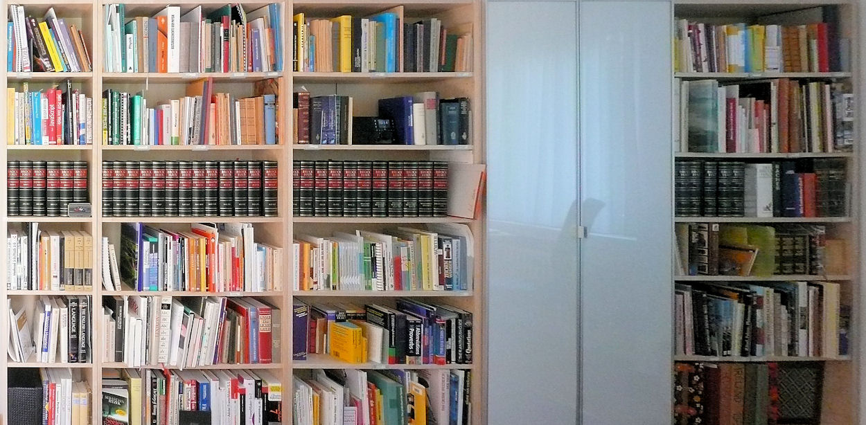 Bookcase in the living room